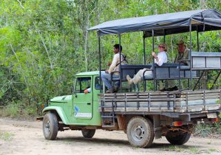 Unterwegs im Pantanal