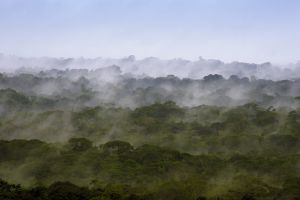 Über dem Dach des Dschungels in Guyana
