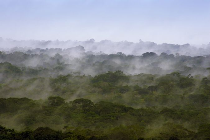 Über dem Dach des Dschungels in Guyana © Diamir