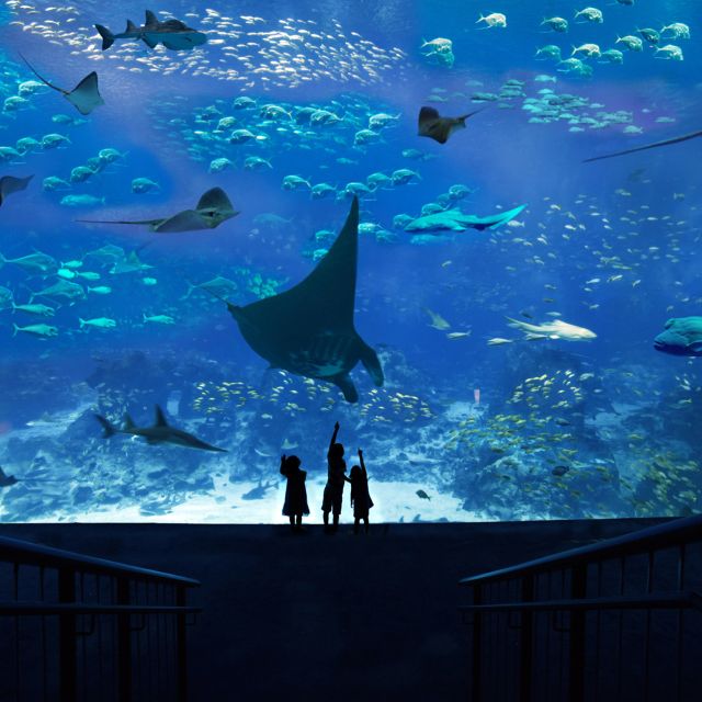 S.E.A. Singapore Aquarium