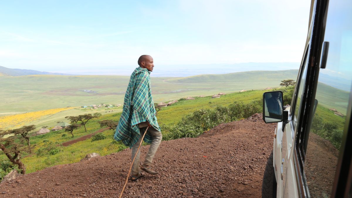 Butterblumenfelder am Straßenrand auf dem Weg zum Ngorongoro-Krater
