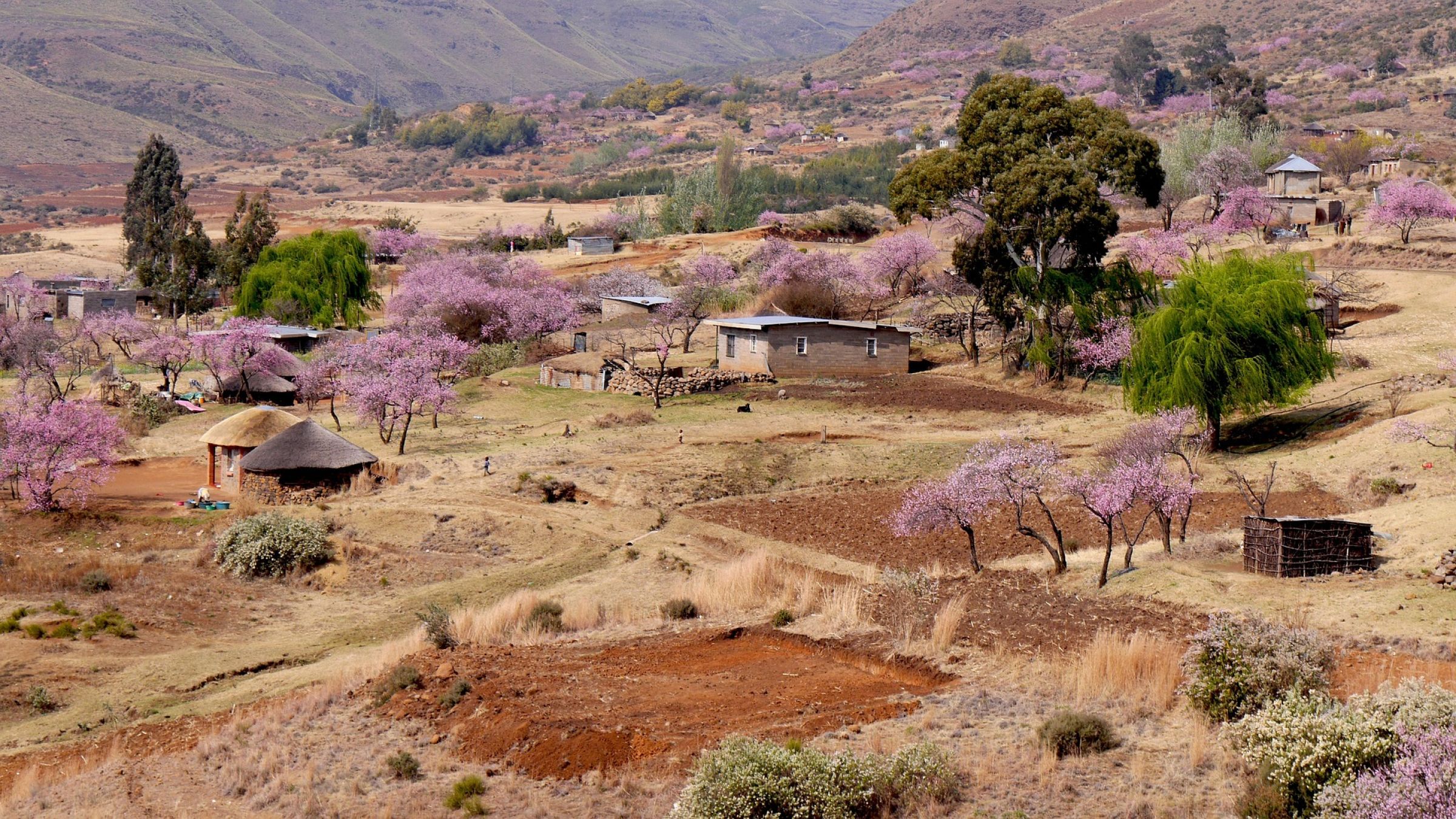 Ein kleines Dorf in Lesotho