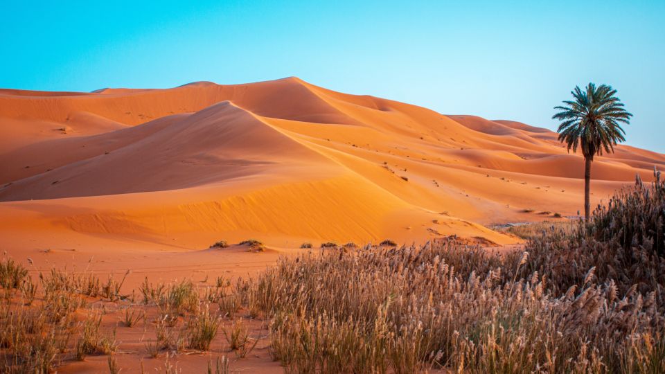 Die Weite der Wüste in Marokko
