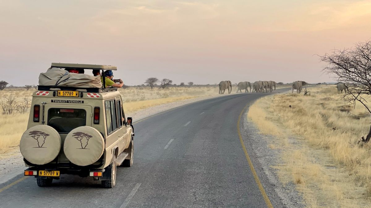 Safarifahrzeug im Etosha-Nationalpark
