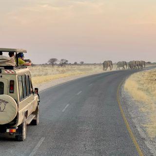 Safarifahrzeug im Etosha NP