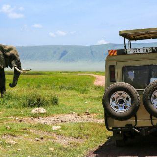 Auf Pirschfahrt durch den Ngorongoro Krater