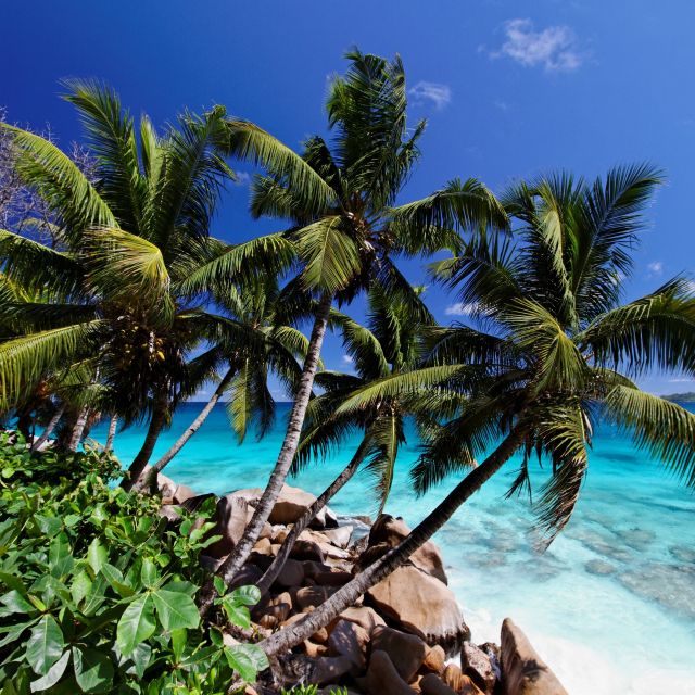Strand auf den Seychellen