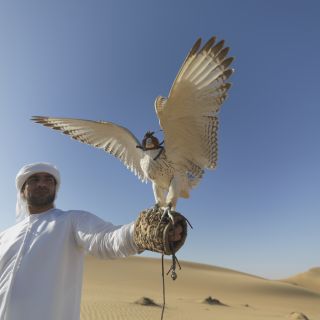 Falkner in der Wüste bei Dubai