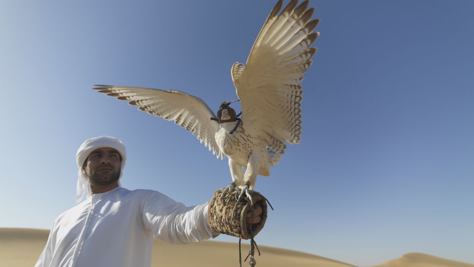 Falkner in der Wüste bei Dubai